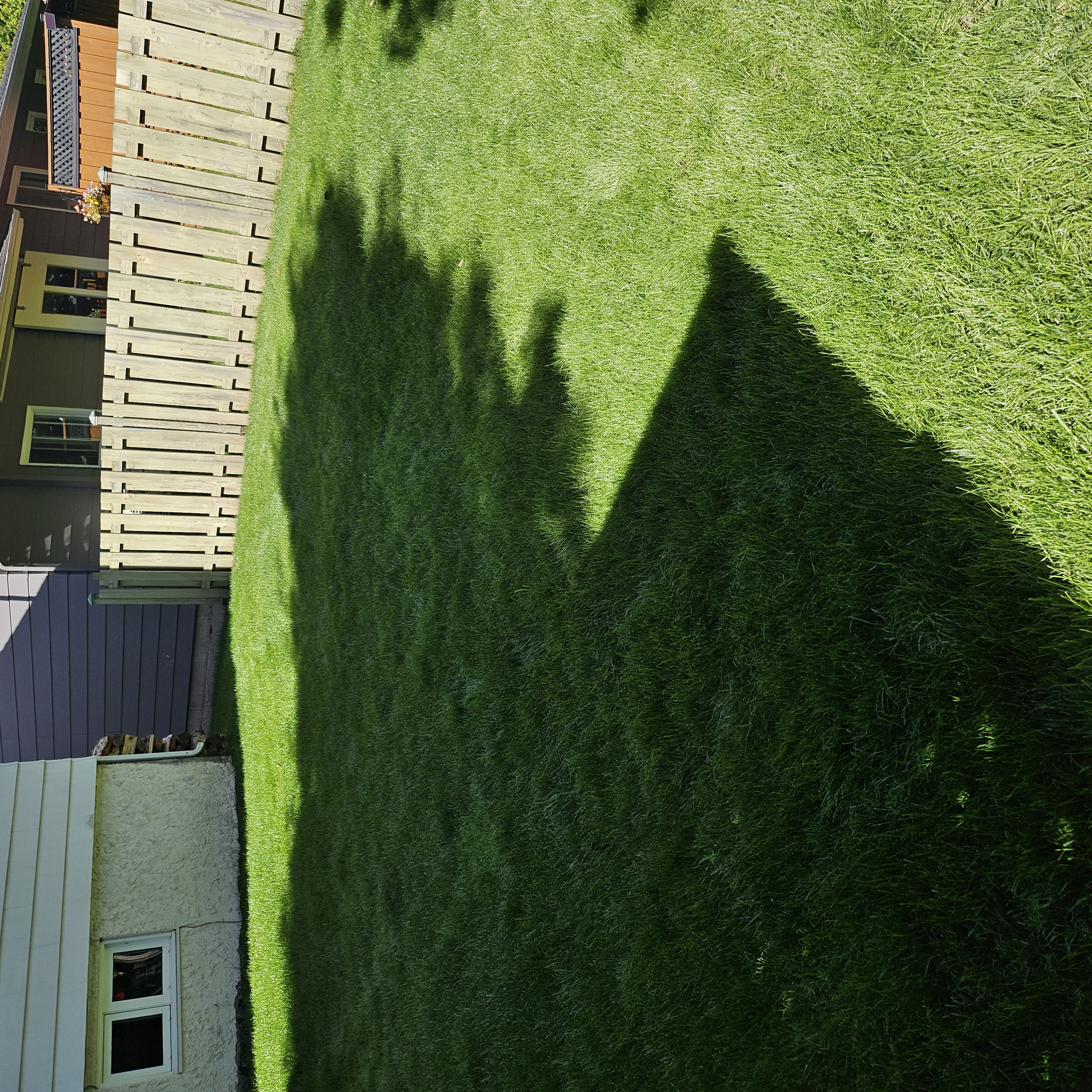 20250819_103153.jpg